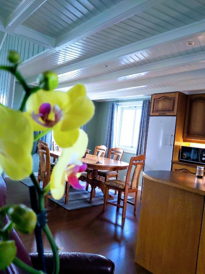 Banpim Beachside Lofoten Ramberg Zewnętrze zdjęcie