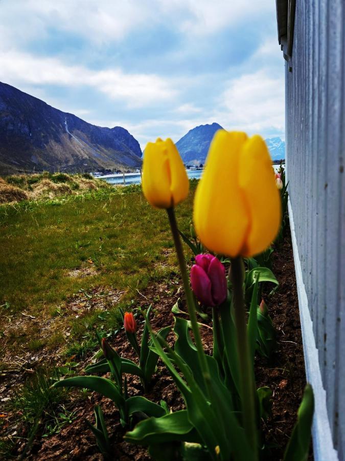 Banpim Beachside Lofoten Ramberg Zewnętrze zdjęcie
