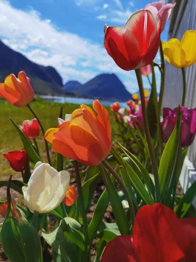 Banpim Beachside Lofoten Ramberg Zewnętrze zdjęcie