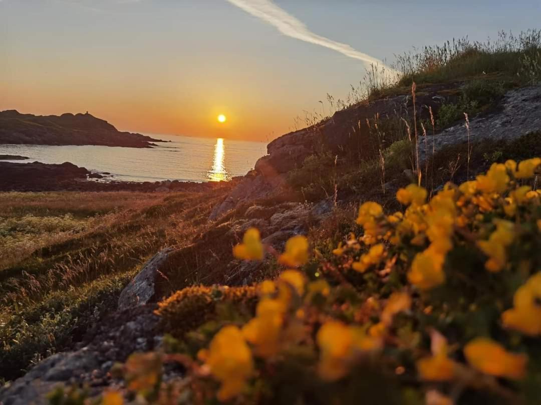 Banpim Beachside Lofoten Ramberg Zewnętrze zdjęcie